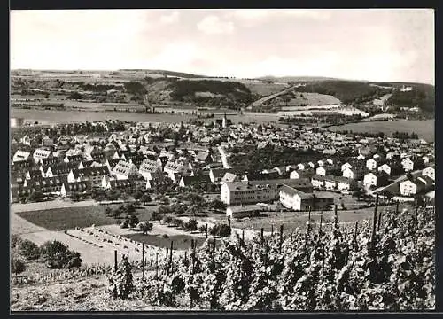 AK Hammelburg /Saale, Blick von den Weinbergen mit Schloss Saaleck