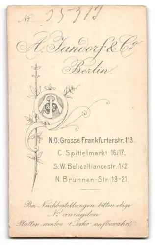 Fotografie A. Jandorf & Co., Berlin, Spittel-Markt 16-17, Junge im Matrosenanzug mit Kleinkind
