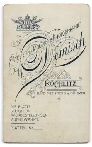 Fotografie W. Demisch, Röchlitz b. Reichenberg, Bürgerliche Dame im Spitzenkleid