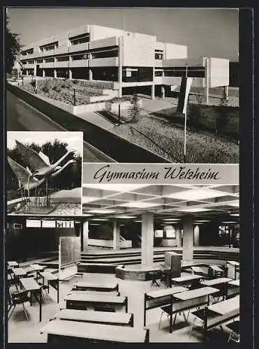 AK Welzheim, Gymnasium, Innen- und Aussenansicht