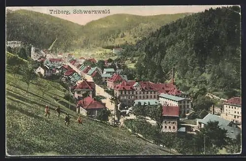 AK Triberg /Schwarzwald, Teilansicht mit Strassenpartie