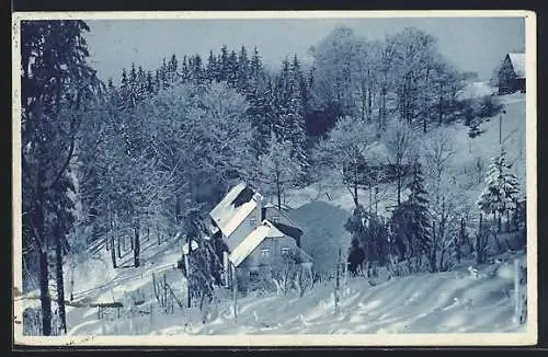 AK Ansprung /Erzgeb., Gasthaus Hüttstadtmühle im Winter