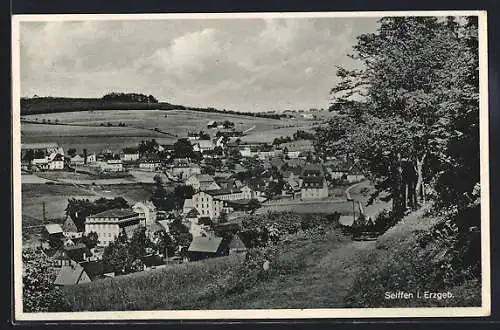 AK Seiffen, Panoramablick vom Berg