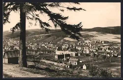 AK Olbernhau /Erzgeb., Blick vom Hainberg auf den Ort