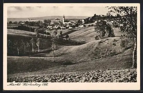 AK Markt Wartenberg / Obb., Ortsansicht