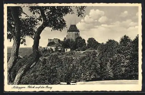 AK Nideggen, Blick auf die Burg