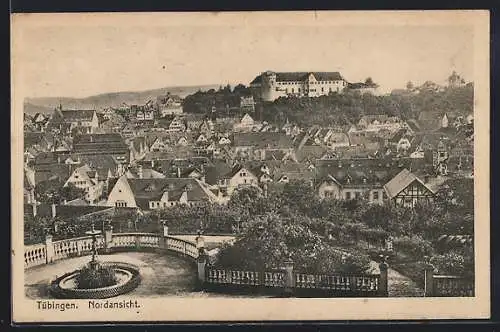 AK Tübingen, Nordansicht mit Schloss und Brunnen