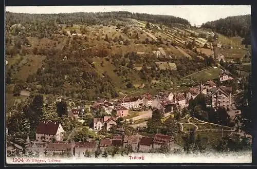 AK Triberg, Teilansicht mit Strassenpartie