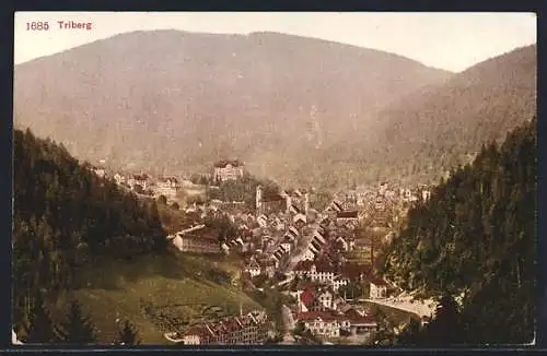 AK Triberg, Teilansicht mit Strassenpartie