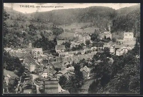 AK Triberg, Teilansicht vom Schonachtal gesehen