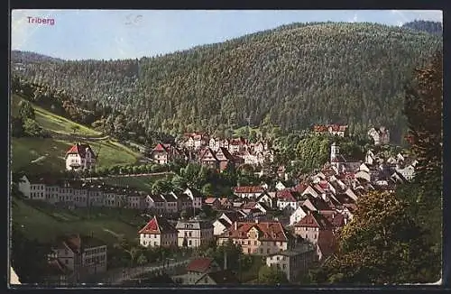 AK Triberg, Teilansicht mit Kirche