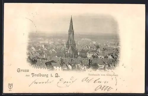 AK Freiburg i. B., Totalansicht vom Schlossberg