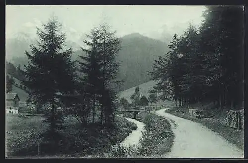 AK Karlgraben bei Neuberg a. Mürz, Wegpartie am Bach