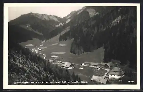 AK Niederalpl bei Mürzsteg, Blick auf den Ort