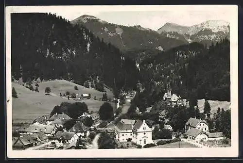 AK Mürzsteg /Steiermark, Ortsansicht gegen die Berge