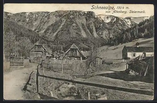 AK Altenberg an der Rax, Partie auf der Schneealpe