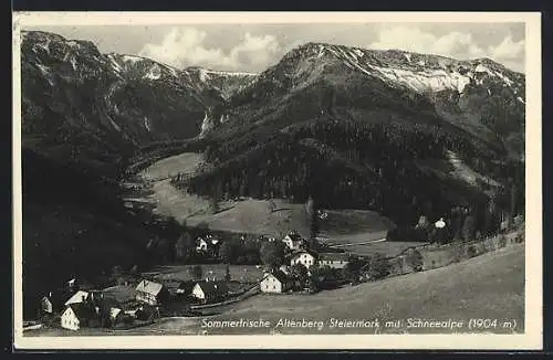 AK Altenberg /Steiermark, Panorama mit Schneealpe