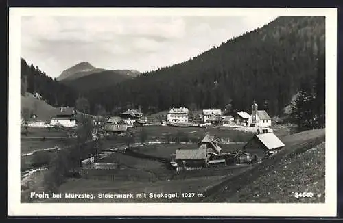 AK Frein b. Mürzsteg, Ortsansicht mit Seekogel