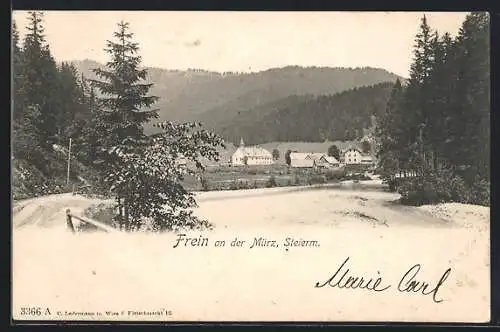AK Frein an der Mürz, Blick zum Ort hinüber vom Weg aus