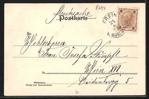 AK Frein an der Mürz, Blick zum Ort hinüber vom Weg aus