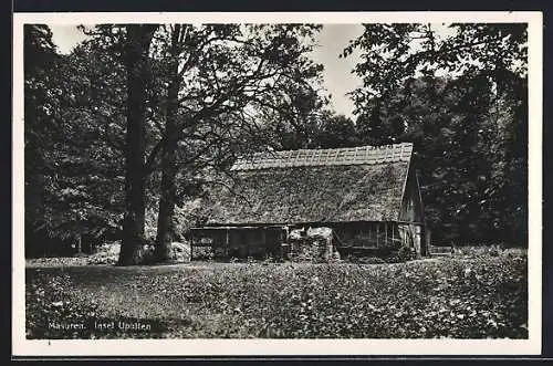 AK Insel Upalten /Masuren, Ortspartie mit Holzhaus