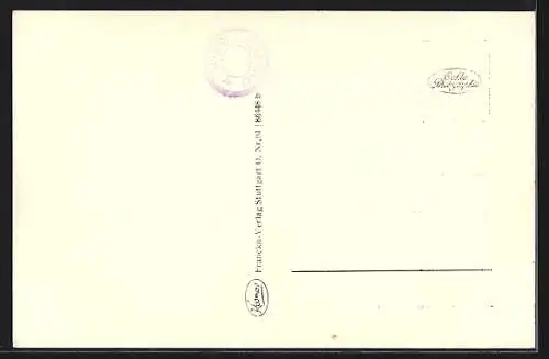 AK Insel Mainau /Bodensee, Schloss mit Kirche