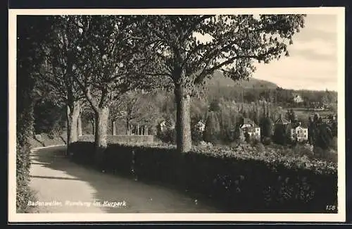 AK Badenweiler, Rundweg im Kurpark