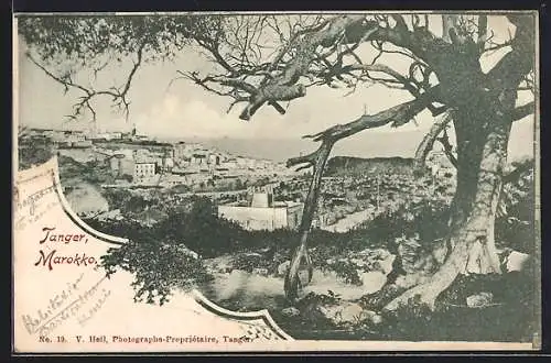 AK Tanger, die Stadt von einer Anhöhe betrachtet
