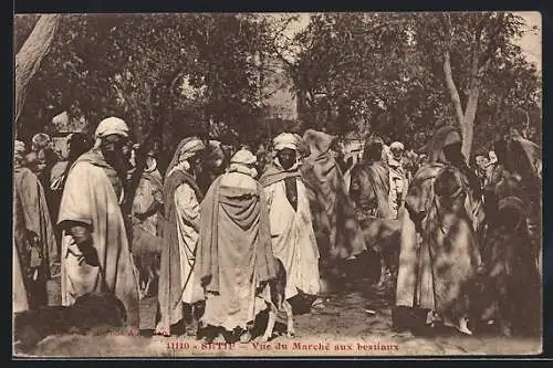 AK Setif, Vue du Marché aux bestiaux