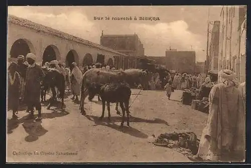 AK Biskra, Sur le marché