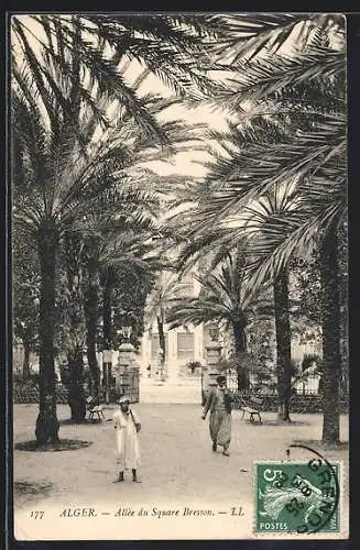 AK Alger, Allée du Square Bresson