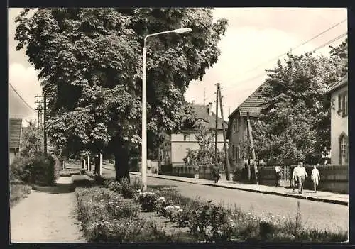 AK Rossleben /Kr. Artern, Ziegelrodaer Strasse mit Passanten