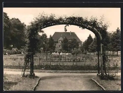 AK Aschersleben, Rosarium