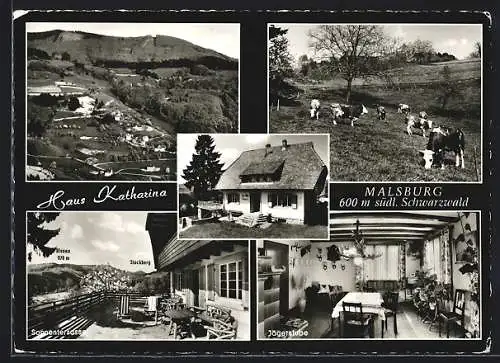 AK Malsburg /südl. Schwarzwald, Hotel-Pension Haus Katharina