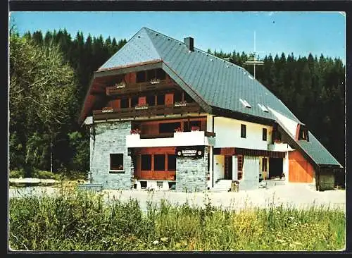 AK Neustadt /Schwarzwald, Gasthof Blessinghof von Familie Winterhalder