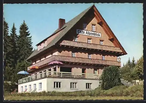 AK Saig-Titisee /Schwarzwald, Hotel-Pension Café Alpenblick