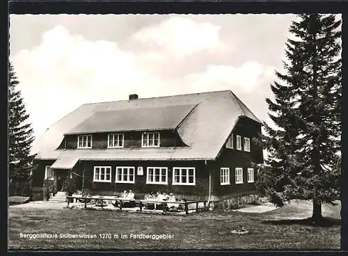 AK Stübenwasen /Feldberggebiet, Am Berg-Gasthaus