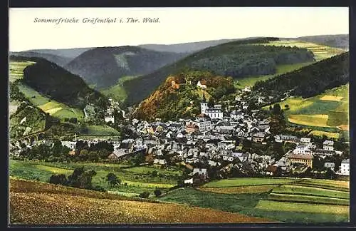 AK Gräfenthal i. Thür., Panoramablick von der Bergwiese