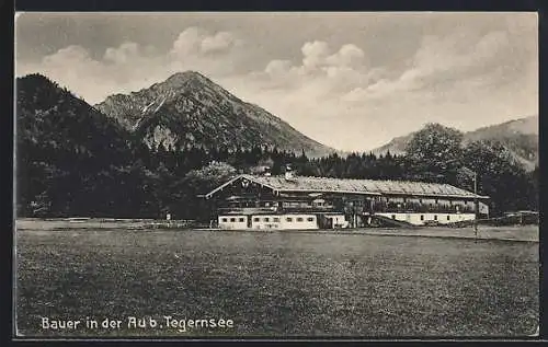 AK Tegernsee, Bauer in der Au