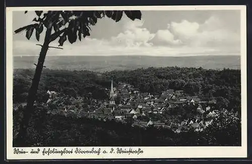 AK Dörrenbach a. d. Weinstrasse, Ortsansicht mit Kirche