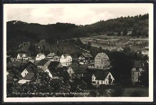 AK Pegnitz, Blick auf die Villen-Kolonie Schmiedpoint