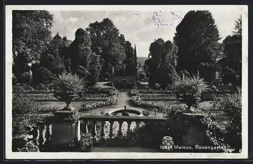 AK Insel Mainau, Blick über den Rosengarten mit Brunnen