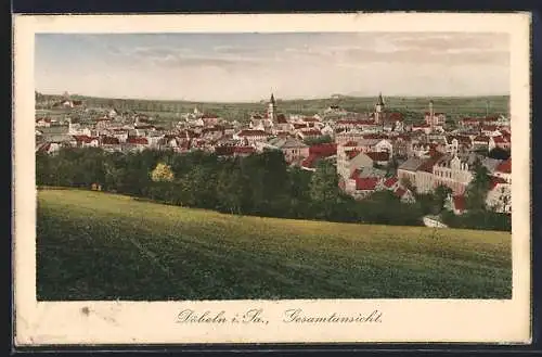 AK Döbeln i. Sa., Gesamtansicht mit Kirche