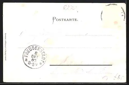 AK Bad Reichenhall, Ortsansicht mit Gebirgspanorama