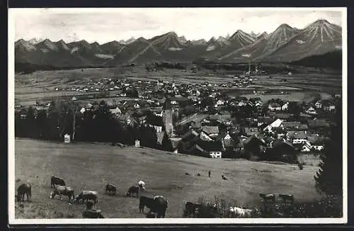 AK Peiting /bayer. Hochland, Blick vom Kalvarienberg gegen die Alpen