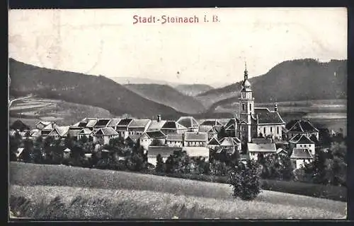 AK Stadt-Steinach i. B., Ortspanorama mit Kirche