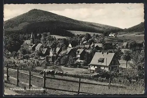 AK Niedersfeld /Hoch-Sauerland, Ortsansicht mit Kirche und Kuhherde