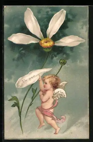 AK Engel zupft an den Blättern einer Margerite Un peu