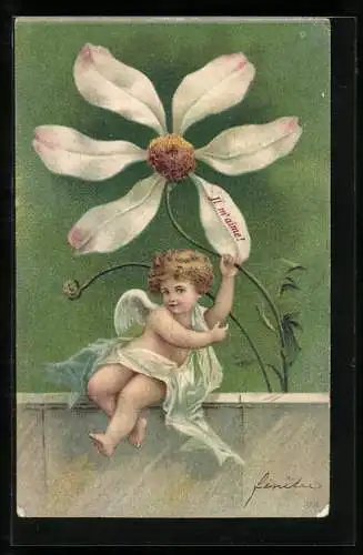 AK Engel zieht an einer Margerite