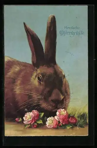 AK Osterhase schnuppert an Rosen